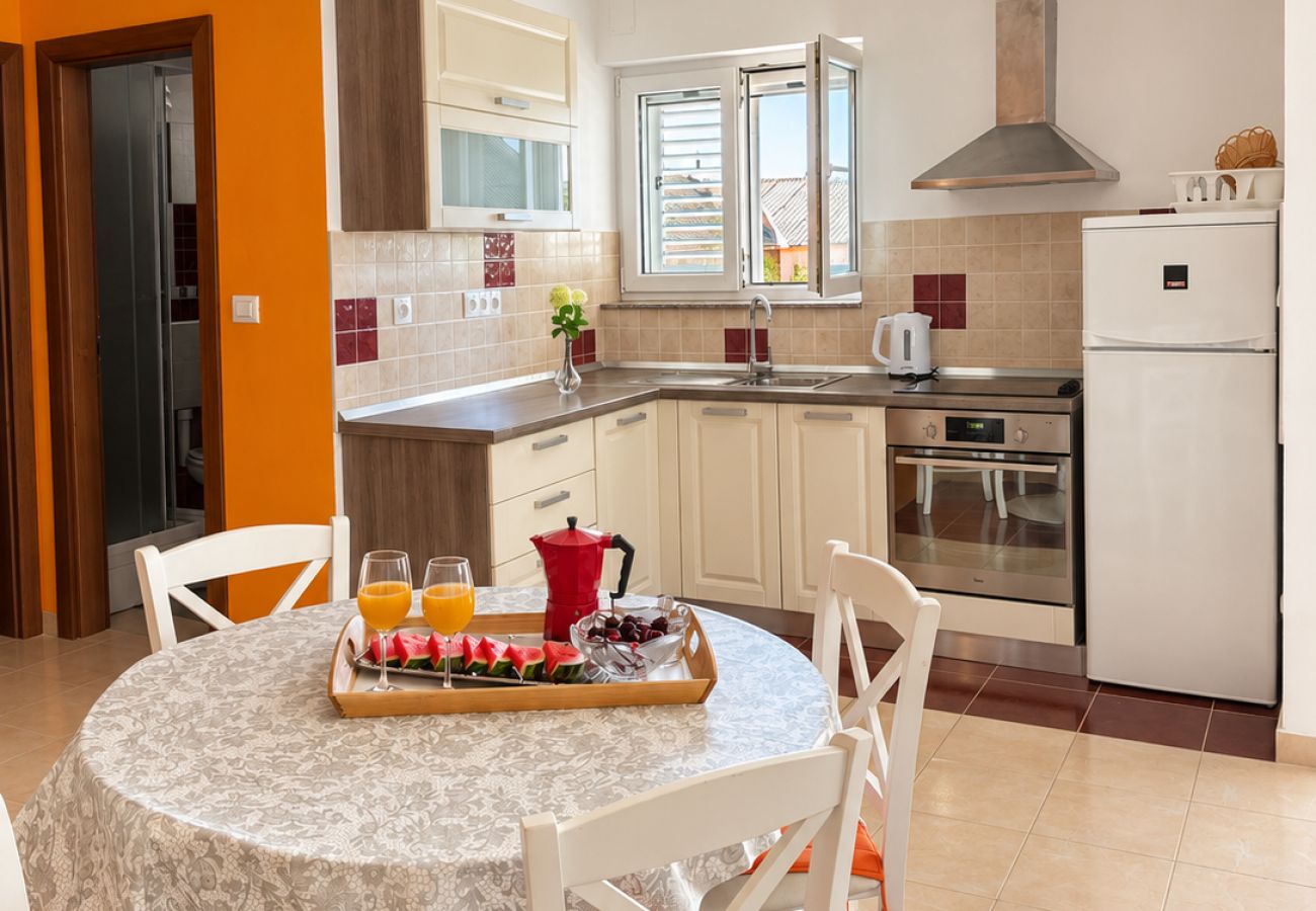 Ferienwohnung in Povljana - Schöne Apartment Bodulo 3