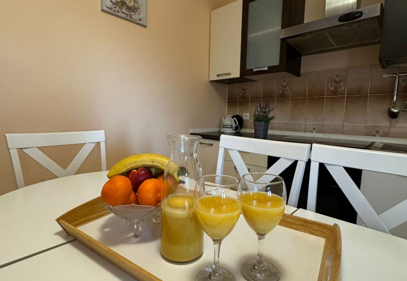 Ferienwohnung in Povljana - Schöne Apartment Bodulo 1