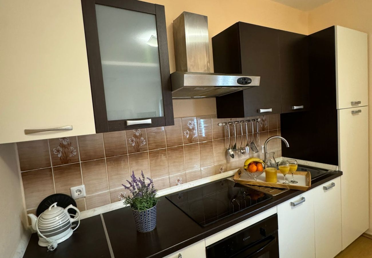 Ferienwohnung in Povljana - Schöne Apartment Bodulo 1