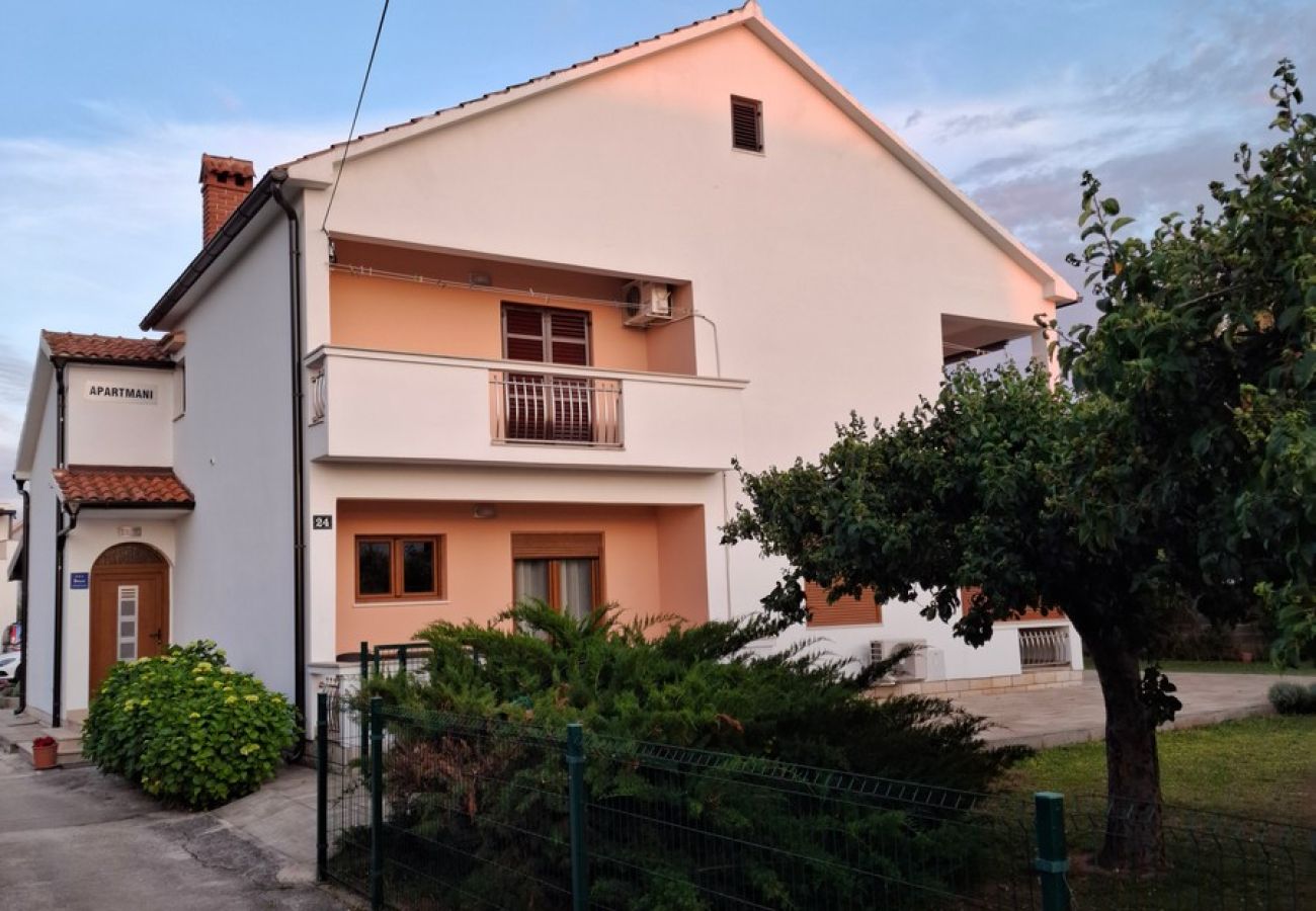 Ferienwohnung in Zaton - Apartment Olinda
