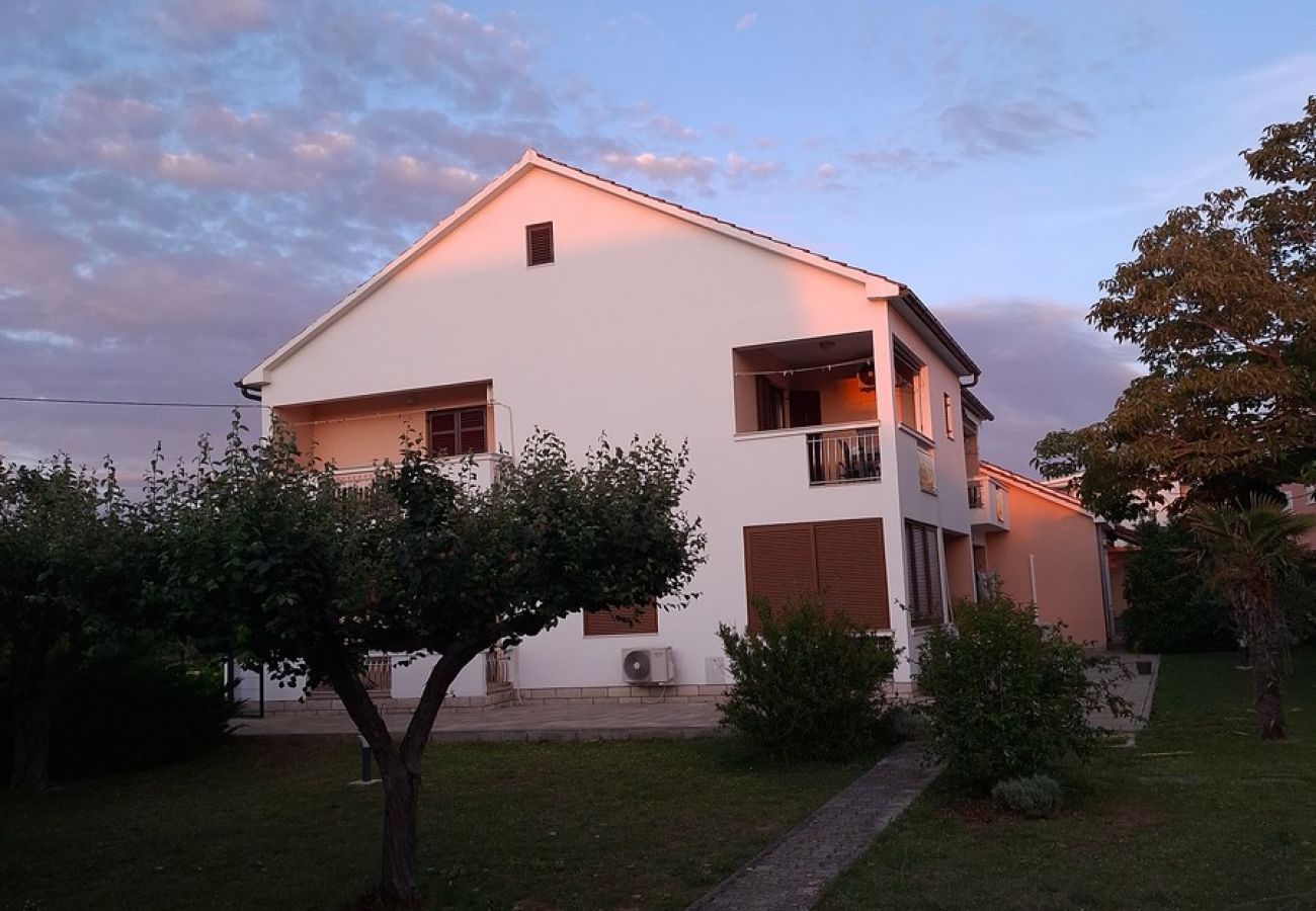 Ferienwohnung in Zaton - Apartment Olinda