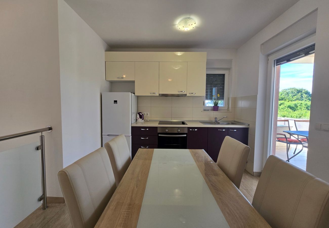 Ferienwohnung in Zaton - Apartment Aora
