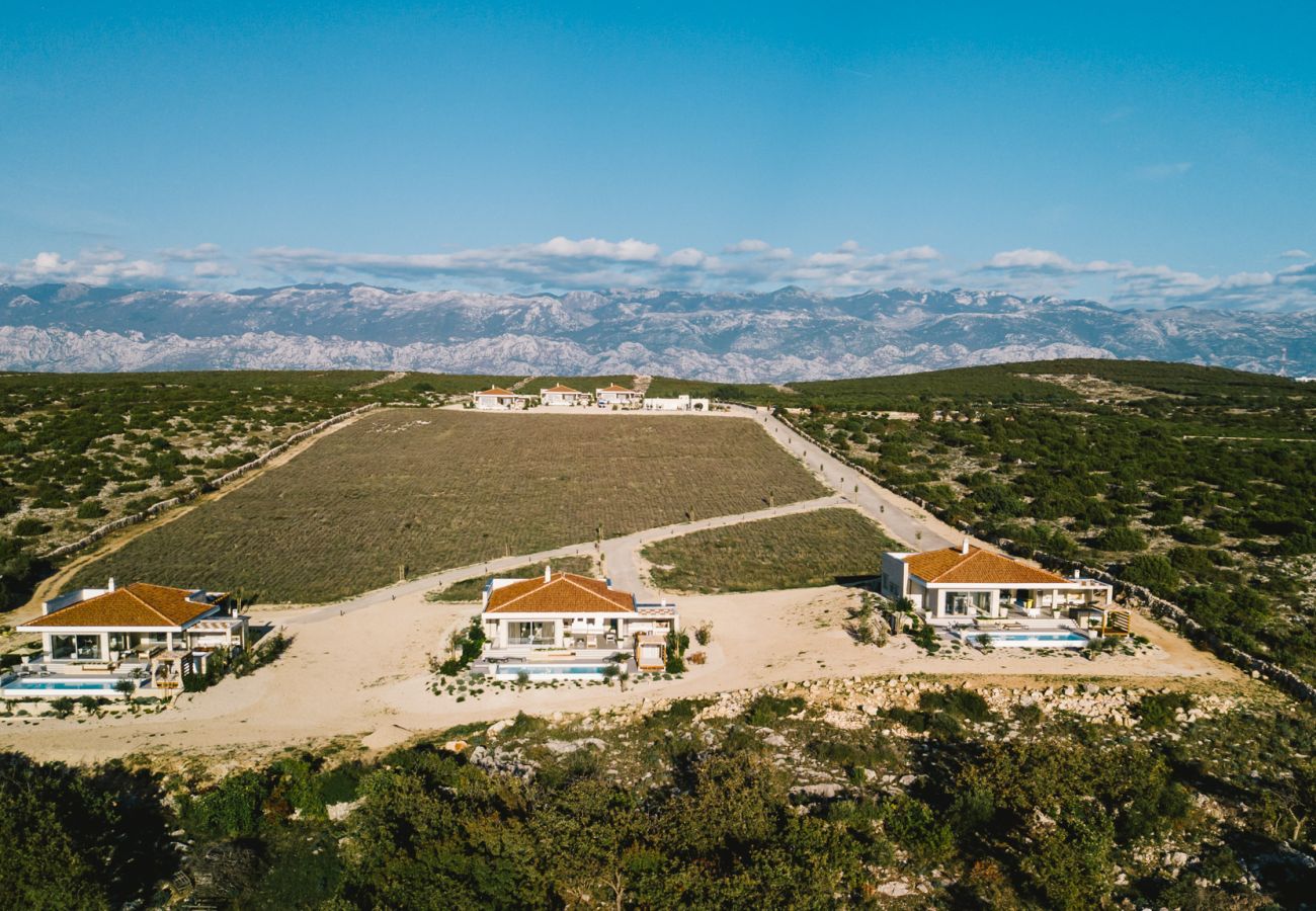Villa in Novalja - Plant villa 6 mit höchster Privatsphäre
