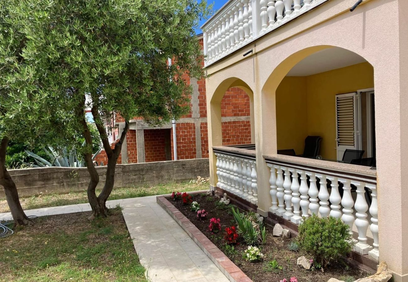 Ferienwohnung in Povljana - Apartment Bella 1