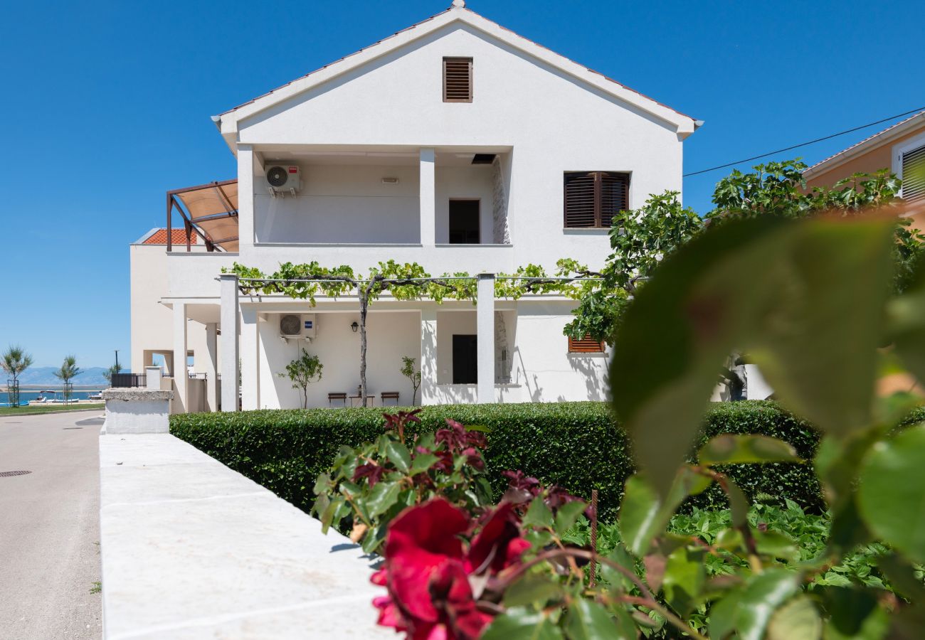 Ferienwohnung in Nin - Seafront apartment Elona