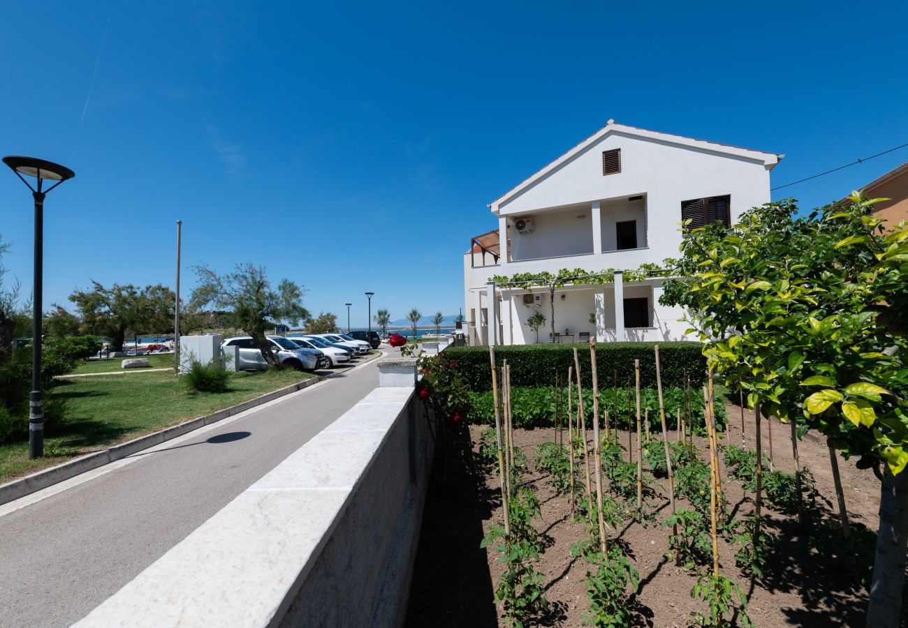 Ferienwohnung in Nin - Seafront apartment Elona