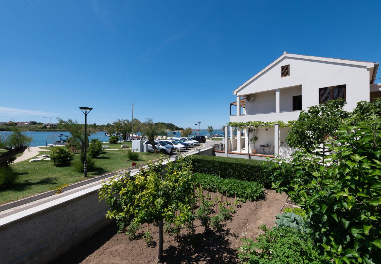 Ferienwohnung in Nin - Seafront apartment Elona