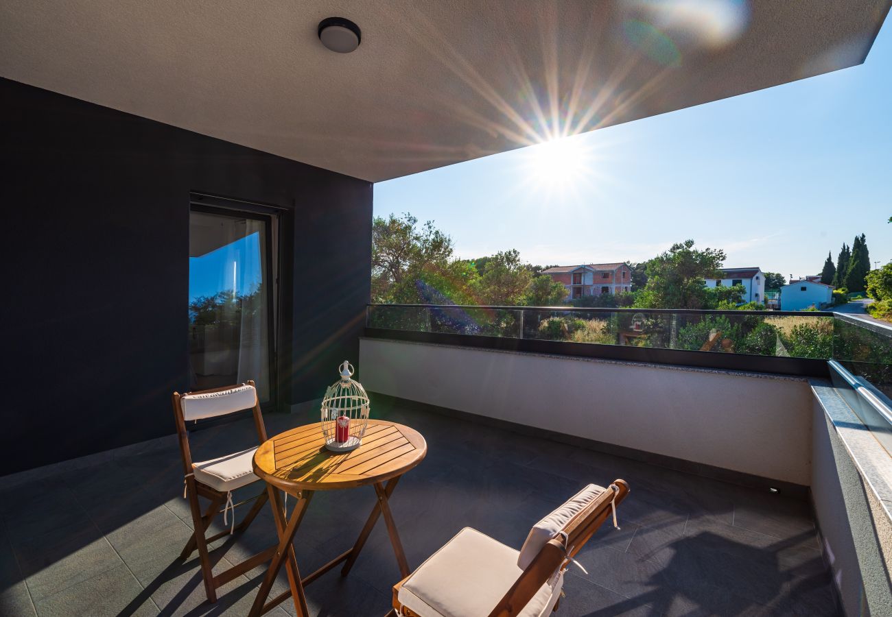 Ferienwohnung in Sveti Filip i Jakov - Apartment Vista Mare 1 mit beheiztem Pool