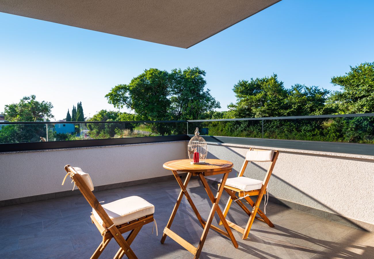 Ferienwohnung in Sveti Filip i Jakov - Apartment Vista Mare 1 mit beheiztem Pool