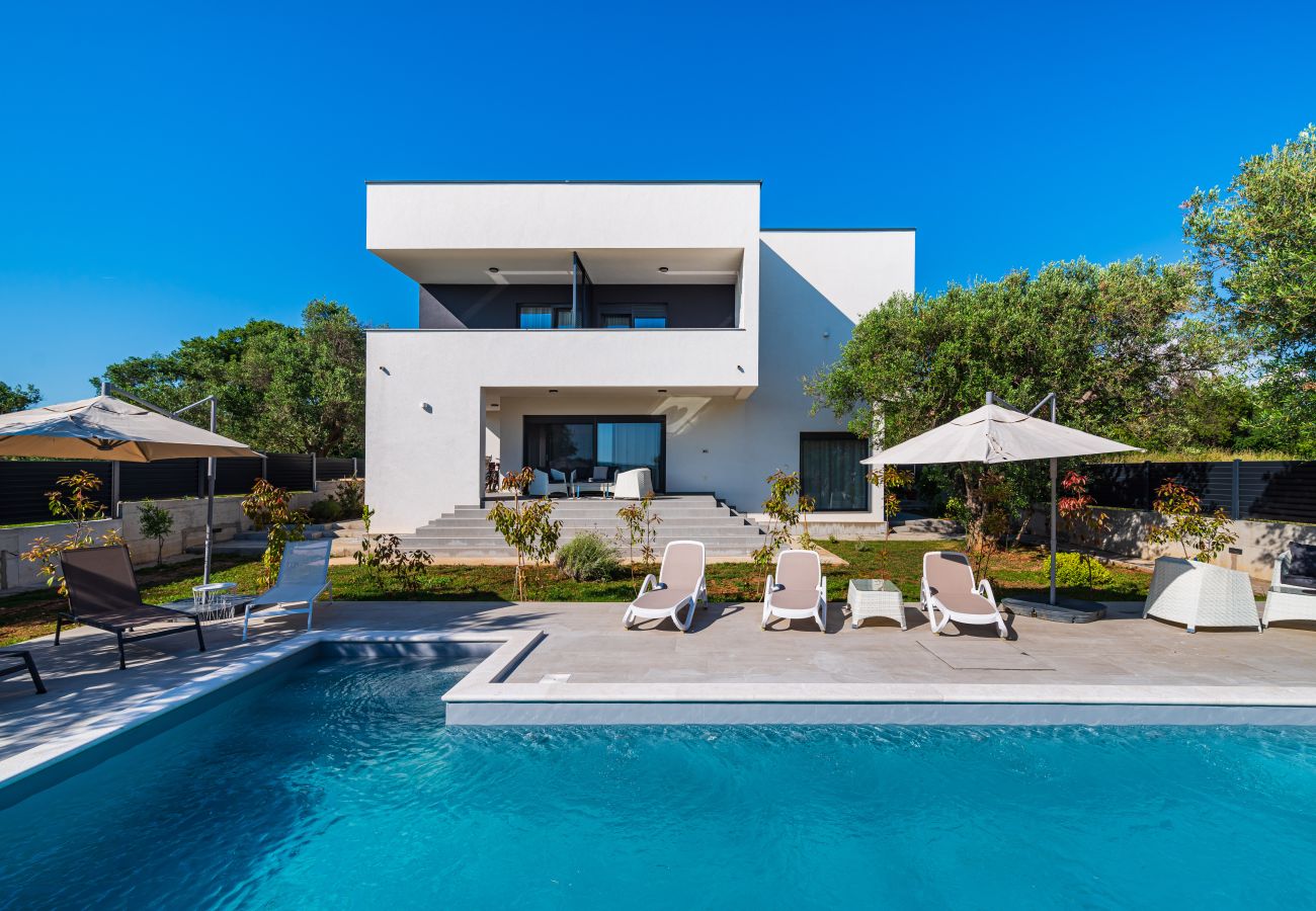 Ferienwohnung in Sveti Filip i Jakov - Apartment Vista Mare 1 mit beheiztem Pool