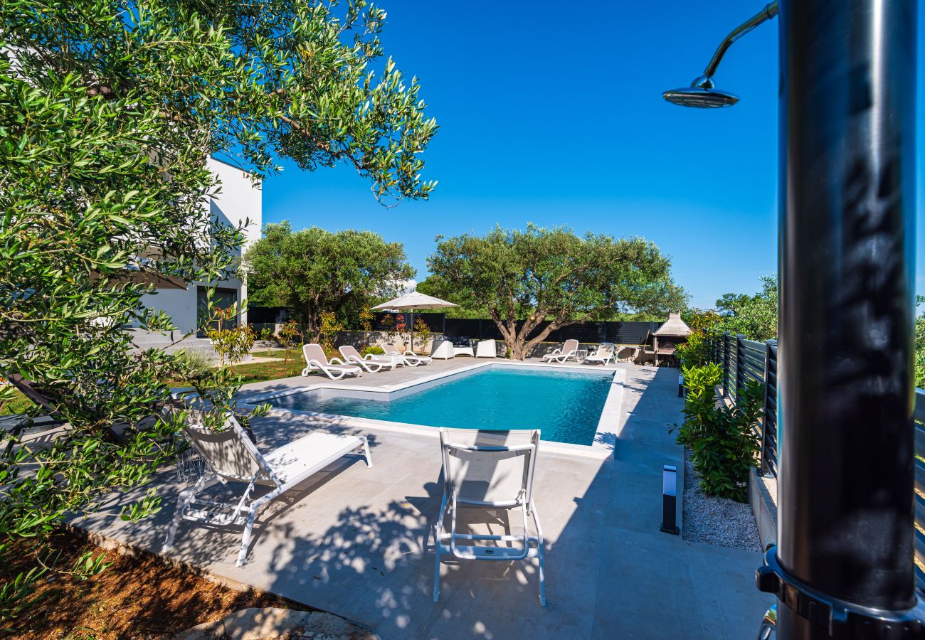 Ferienwohnung in Sveti Filip i Jakov - Apartment Vista Mare 1 mit beheiztem Pool