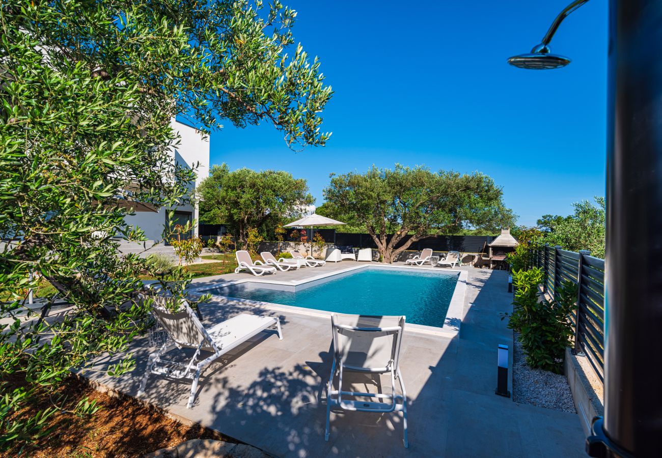 Ferienwohnung in Sveti Filip i Jakov - Apartment Vista Mare 2 mit beheiztem Pool
