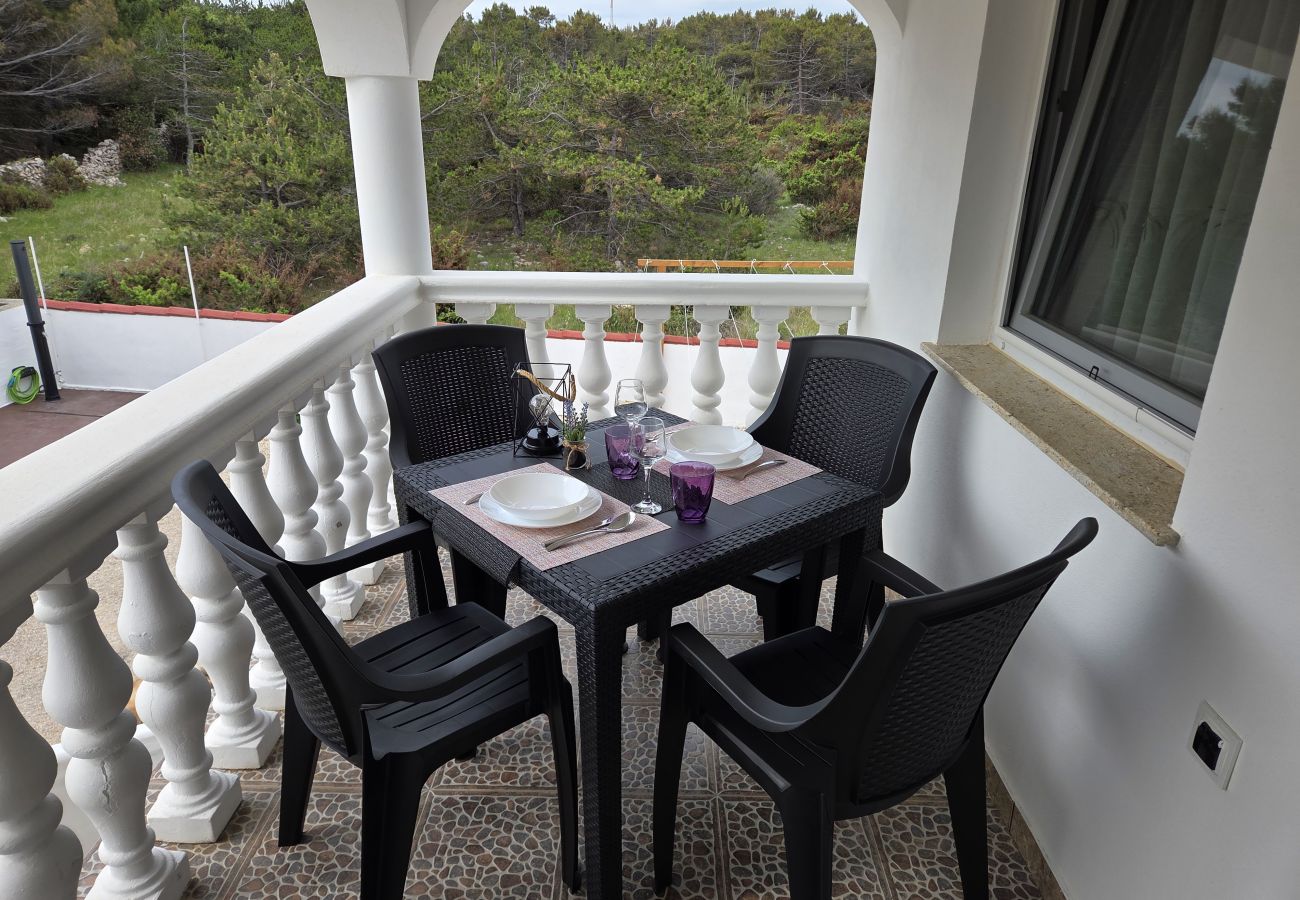 Ferienwohnung in Ražanac - Apartment Sany 2 mit Whirlpool