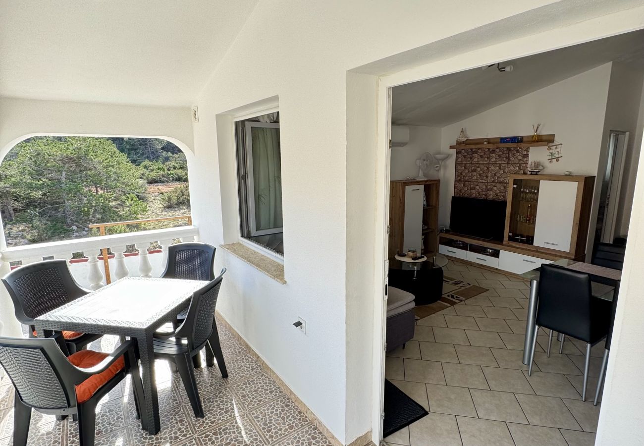 Ferienwohnung in Ražanac - Apartment Didovi Dvori 2 mit Whirlpool