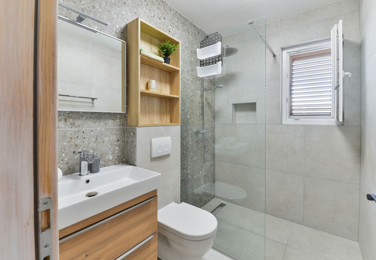 Villa in Privlaka - Villa Carnela mit beheiztem Pool