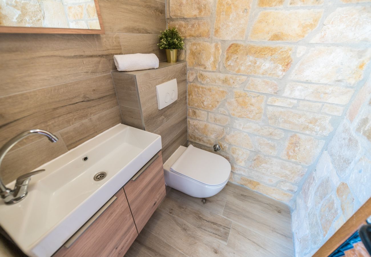 Villa in Privlaka - Villa Carnela mit beheiztem Pool