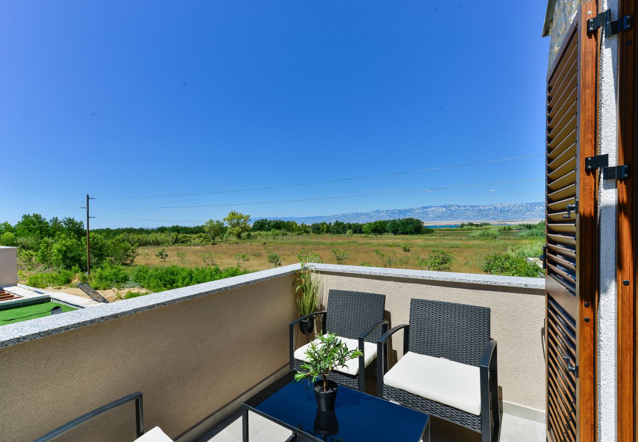 Villa in Privlaka - Villa Rea 4 mit beheiztem Pool