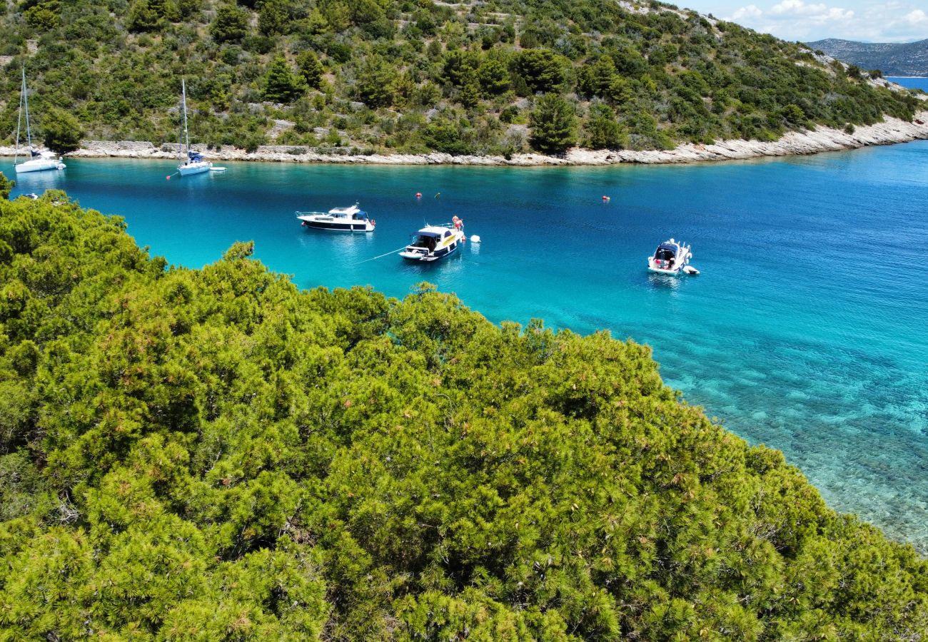 Villa in Ždrelac - Deluxe Villa Supreme Pašman mit beheiztem Pool