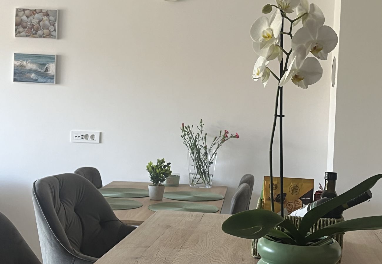 Ferienwohnung in Zaton - Apartment Mariner 1 mit beheiztem Pool