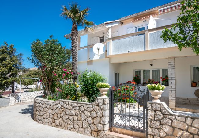  in Povljana - Studio apartment Luce