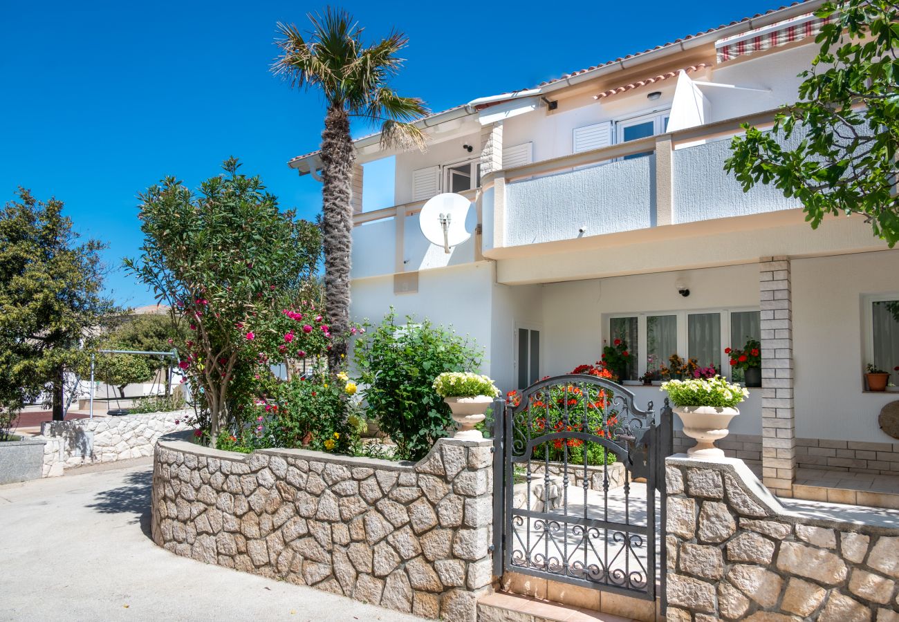 Studio in Povljana - Studio apartment Luce