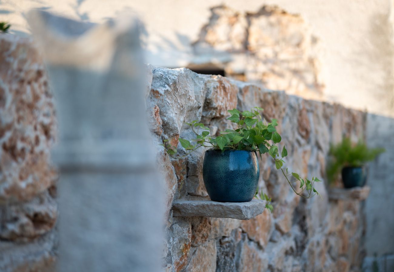 Ferienhaus in Vir - Heritage Home Vila Malena