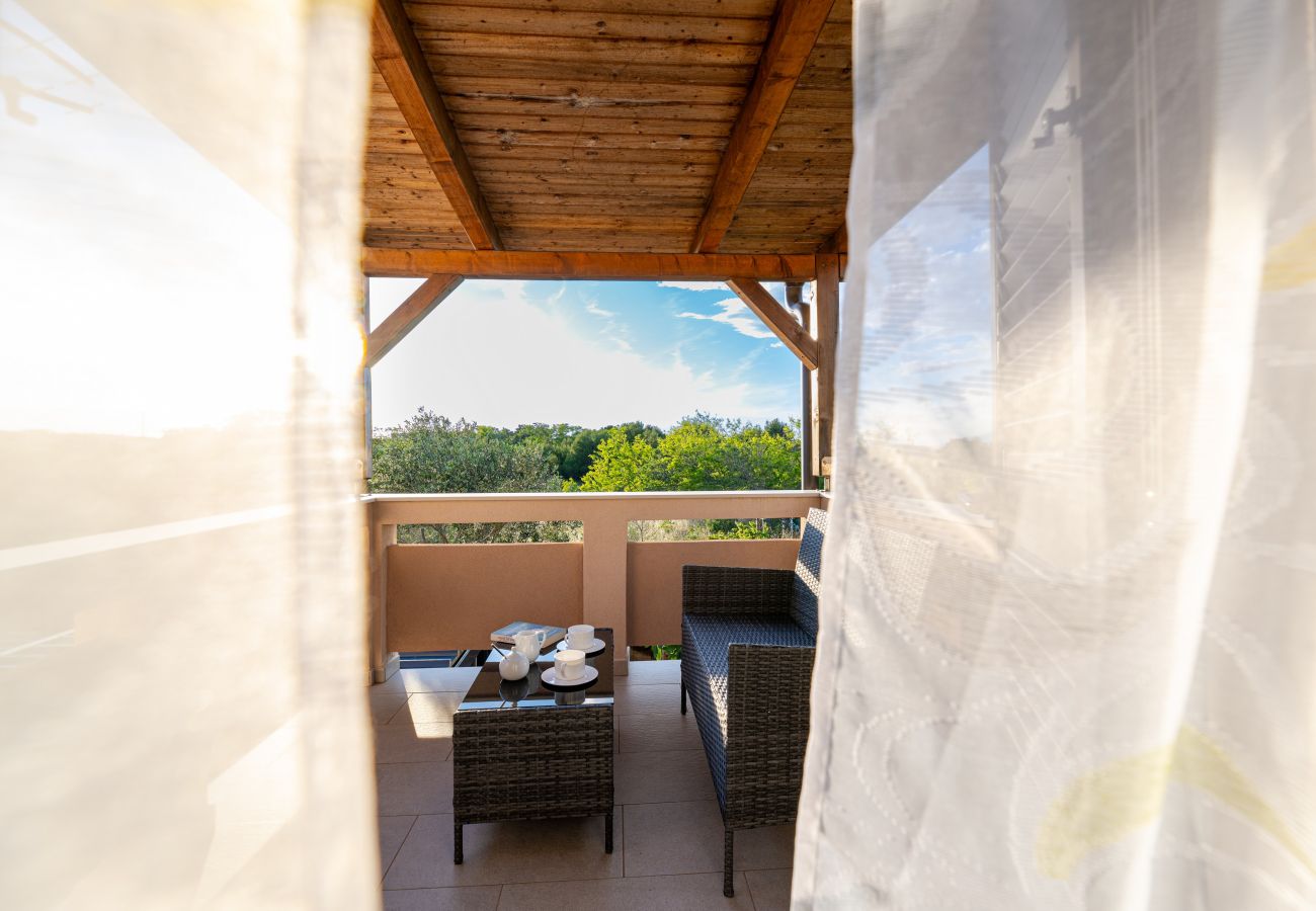 Ferienhaus in Vir - Ferienhaus Tanja Vir mit beheiztem Pool