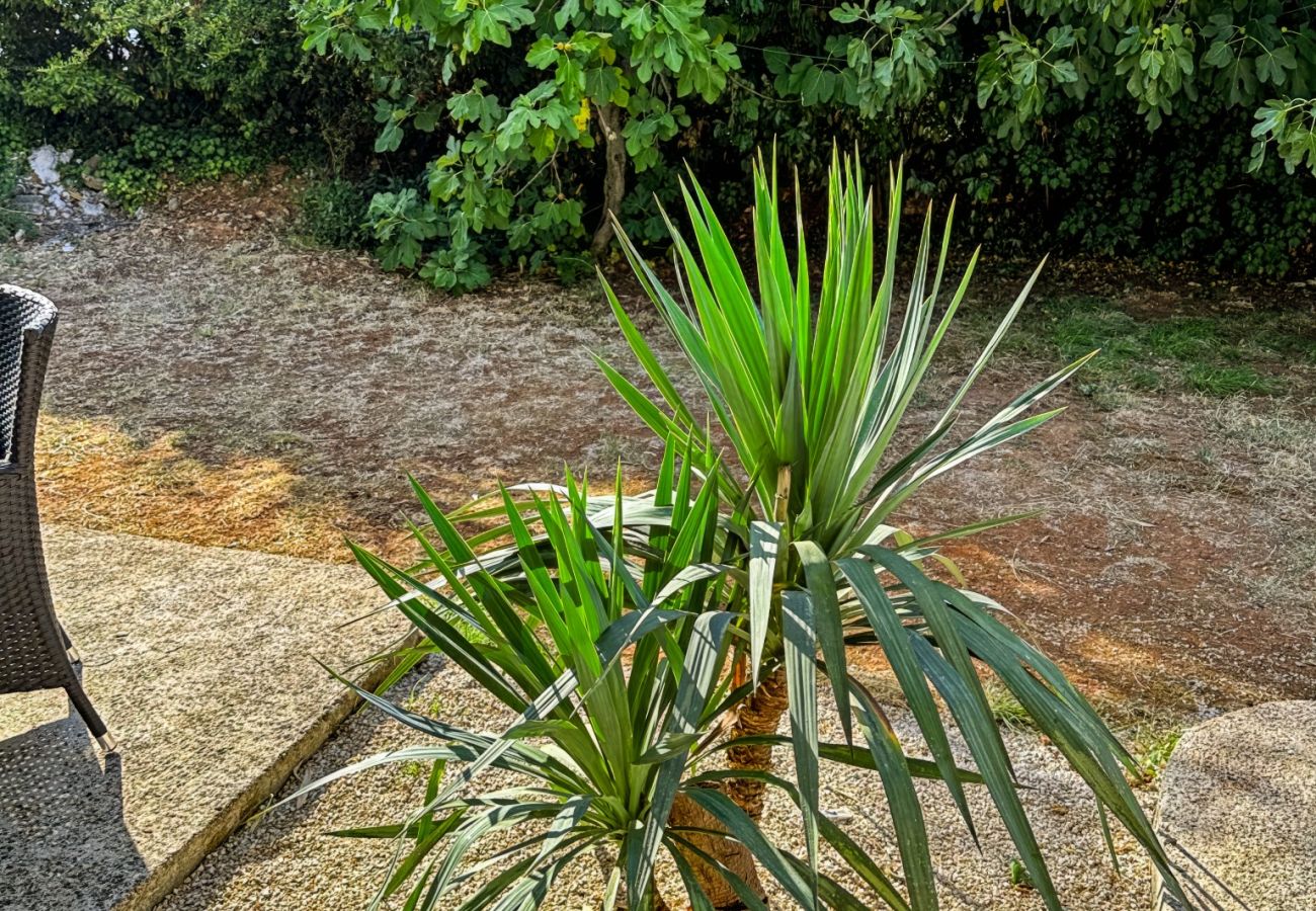 Ferienwohnung in Zadar - Apartment Green Corner