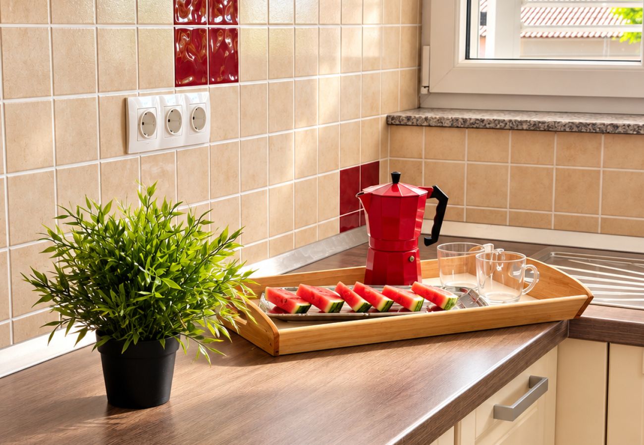 Apartment in Povljana - Beautiful Apartment Bodulo 3