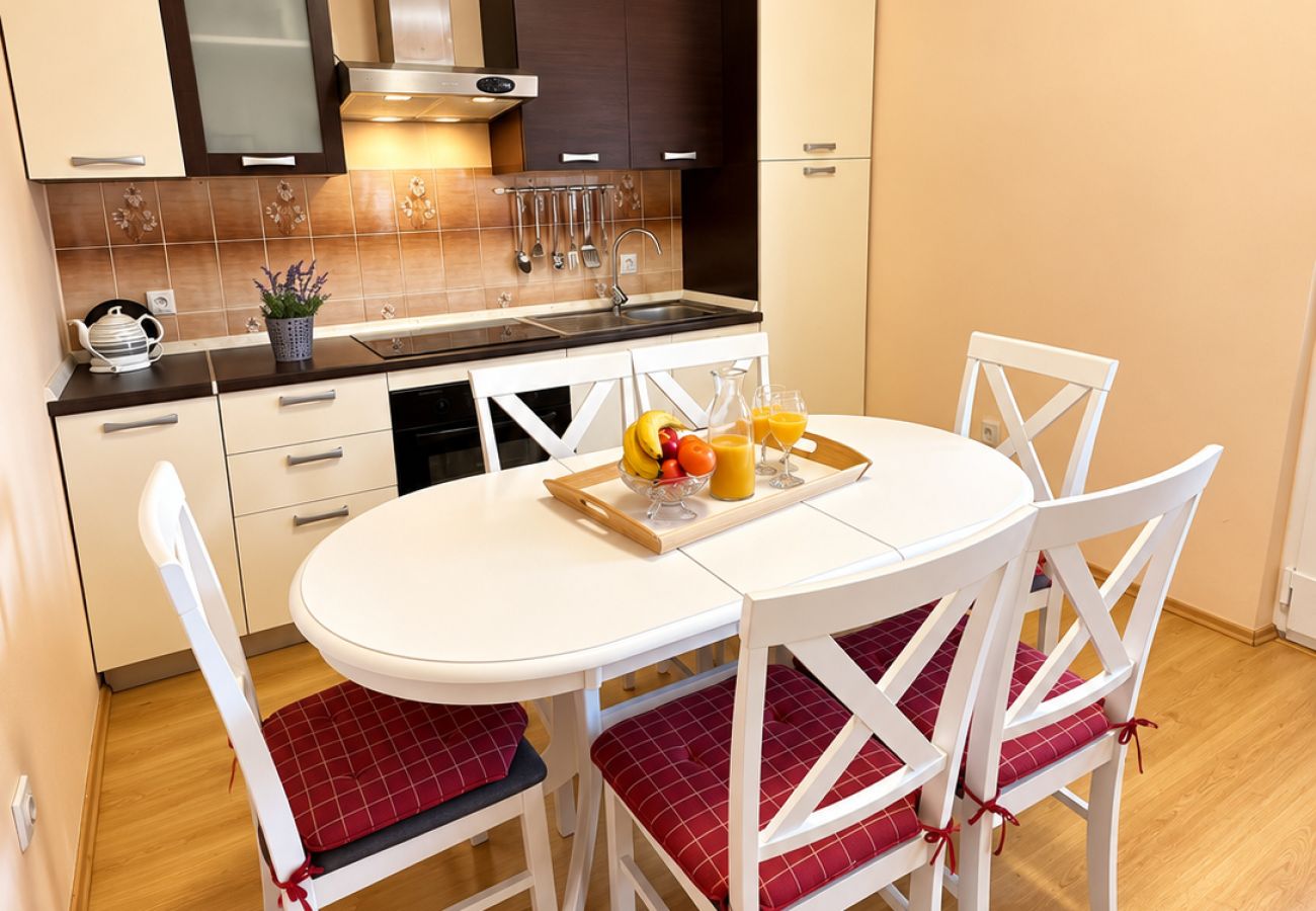 Apartment in Povljana - Apartment Bodulo 1