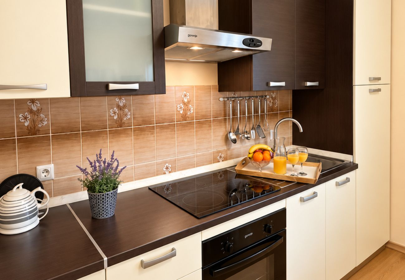 Apartment in Povljana - Apartment Bodulo 1