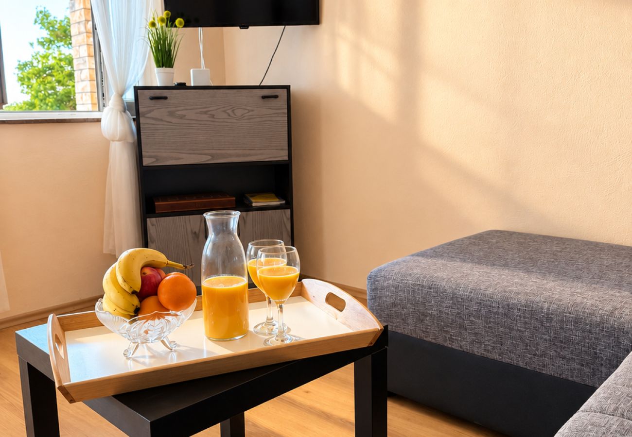 Apartment in Povljana - Apartment Bodulo 1