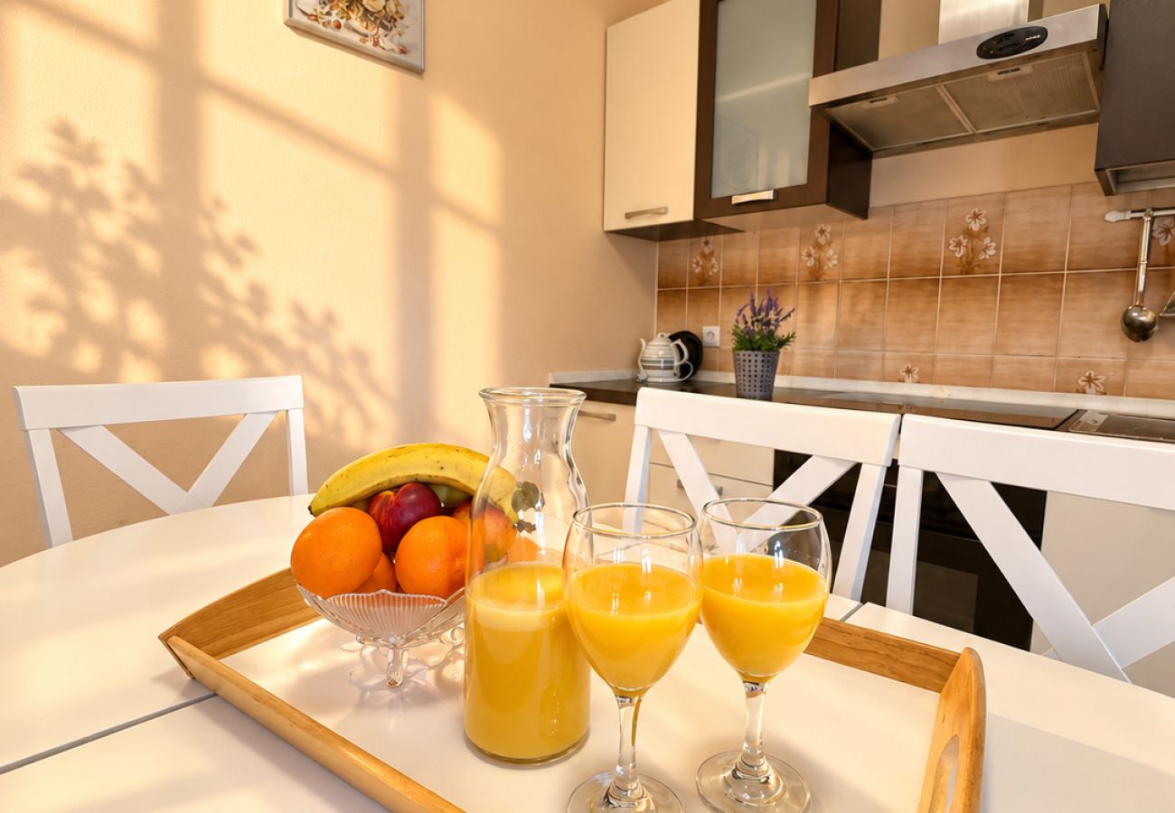 Apartment in Povljana - Apartment Bodulo 1