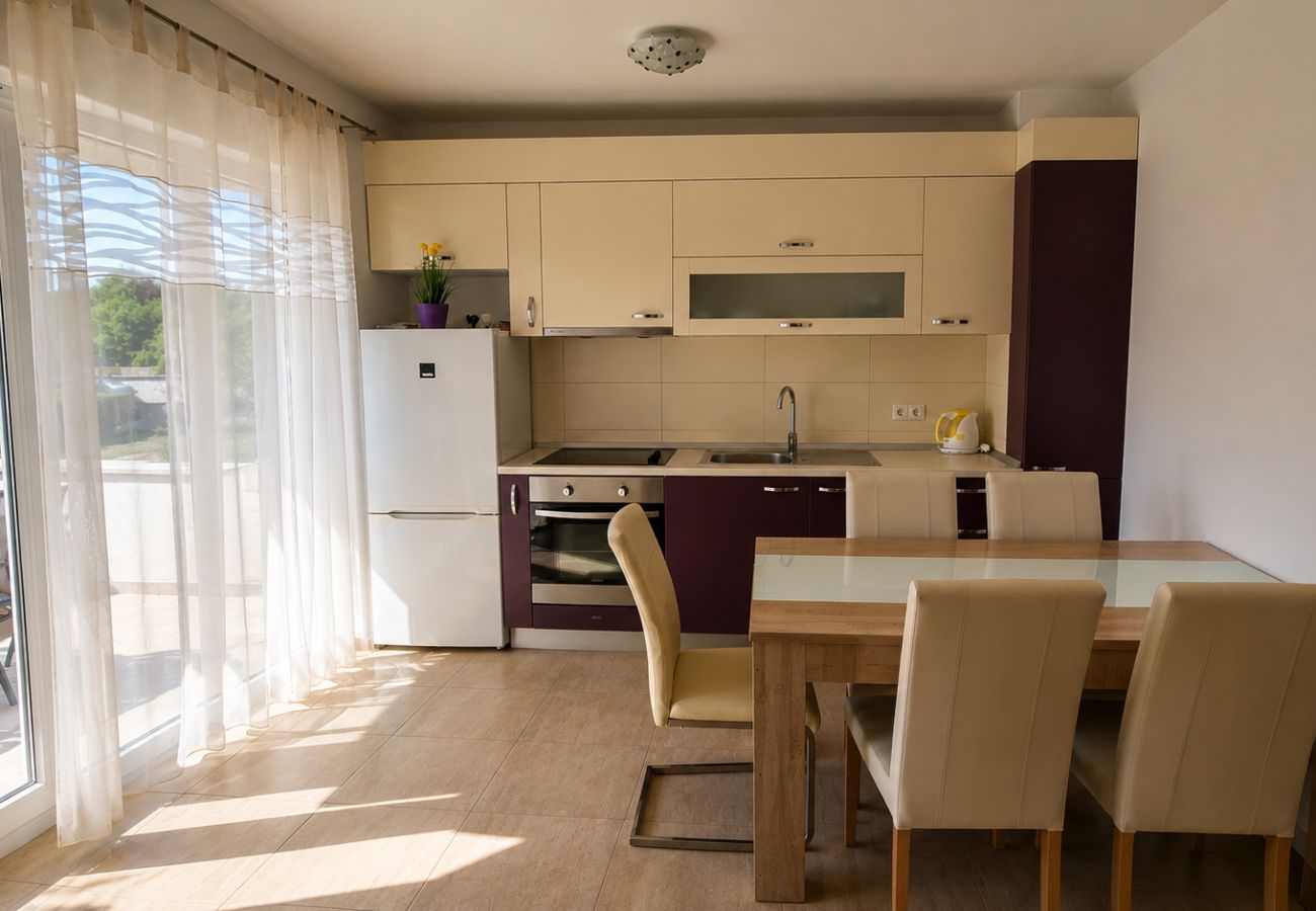 Apartment in Zaton - Apartment Marcela