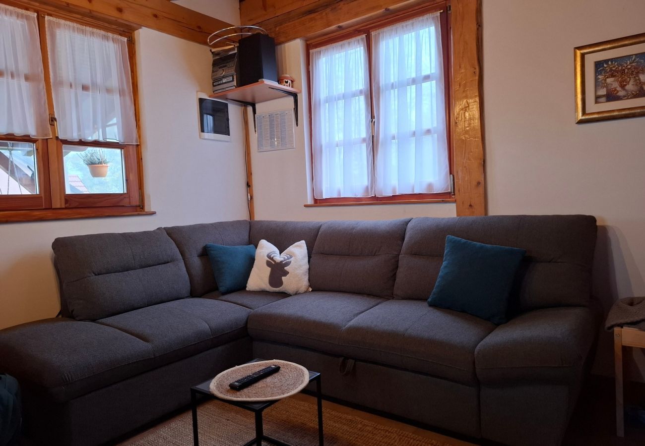 House in Rukljevina - Holiday Home Ventura