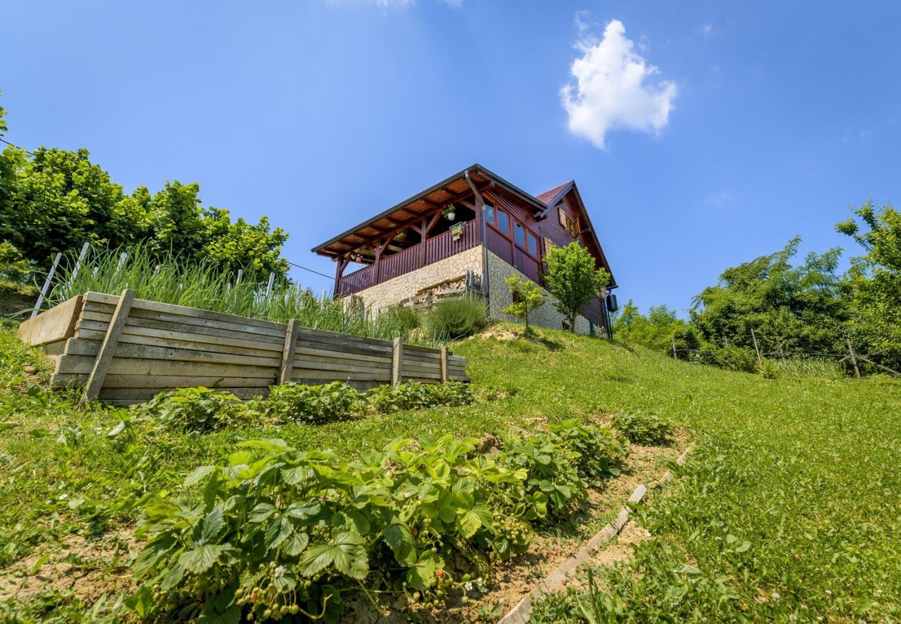 House in Rukljevina - Holiday Home Ventura