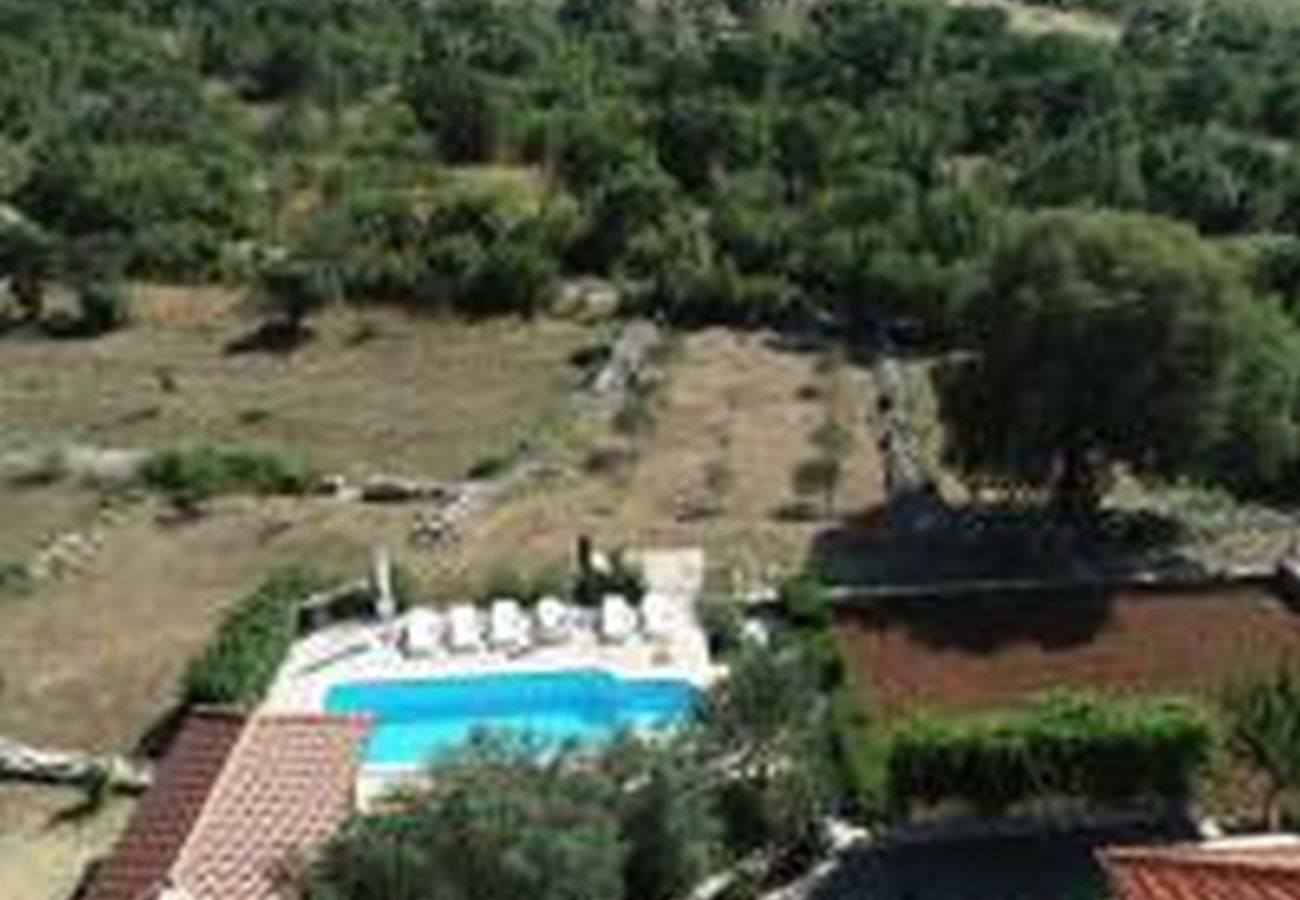 Villa in Trbounje - Villa Magic with heated pool