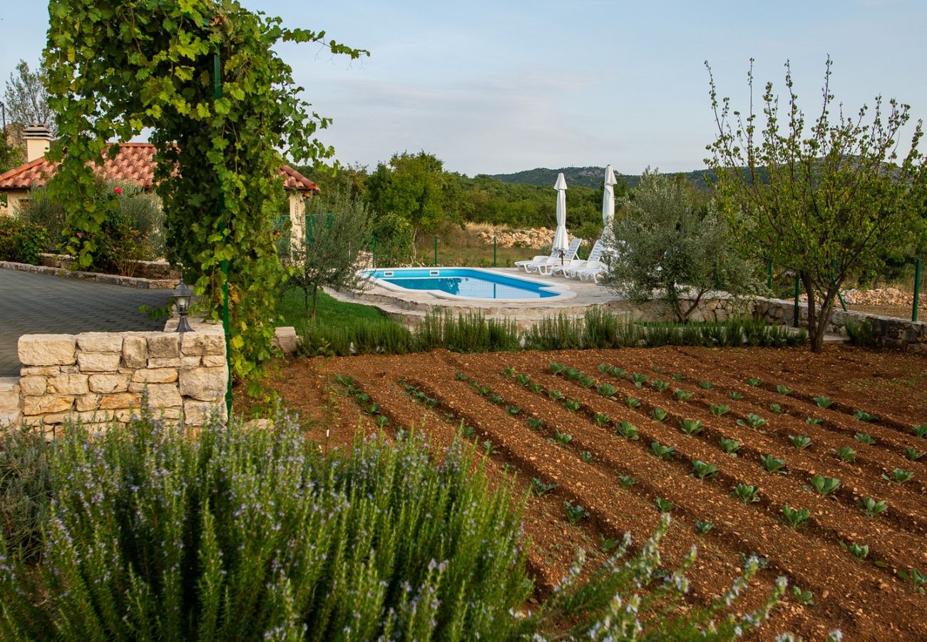 Villa in Trbounje - Villa Magic with heated pool