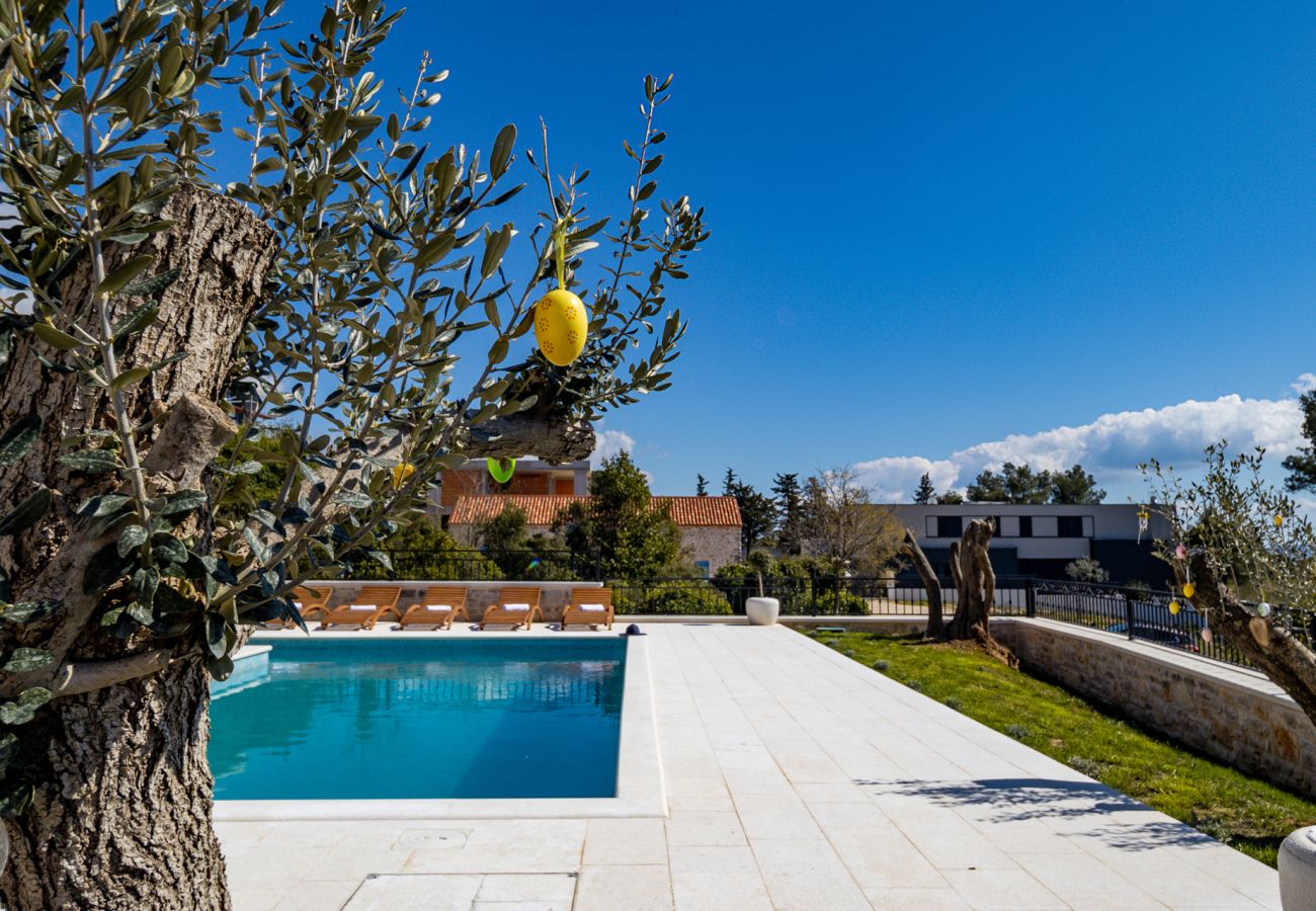 Villa in Zadar - Villa Katarina with pool