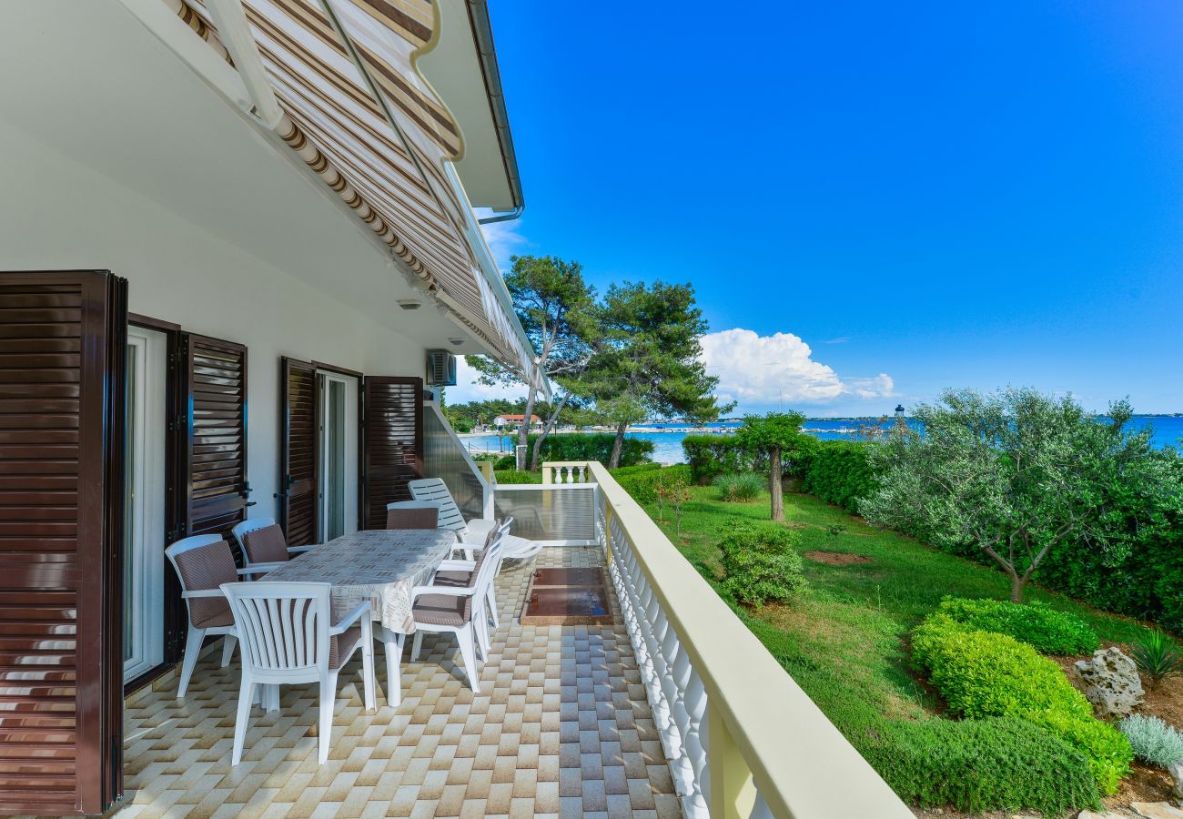 Apartment in Vir - Beachfront apartment Liverić 2