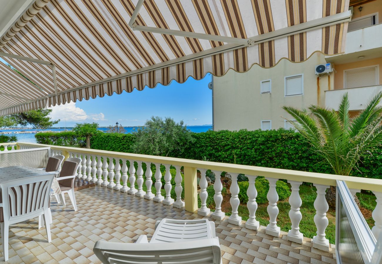 Apartment in Vir - Beachfront apartment Liverić 2