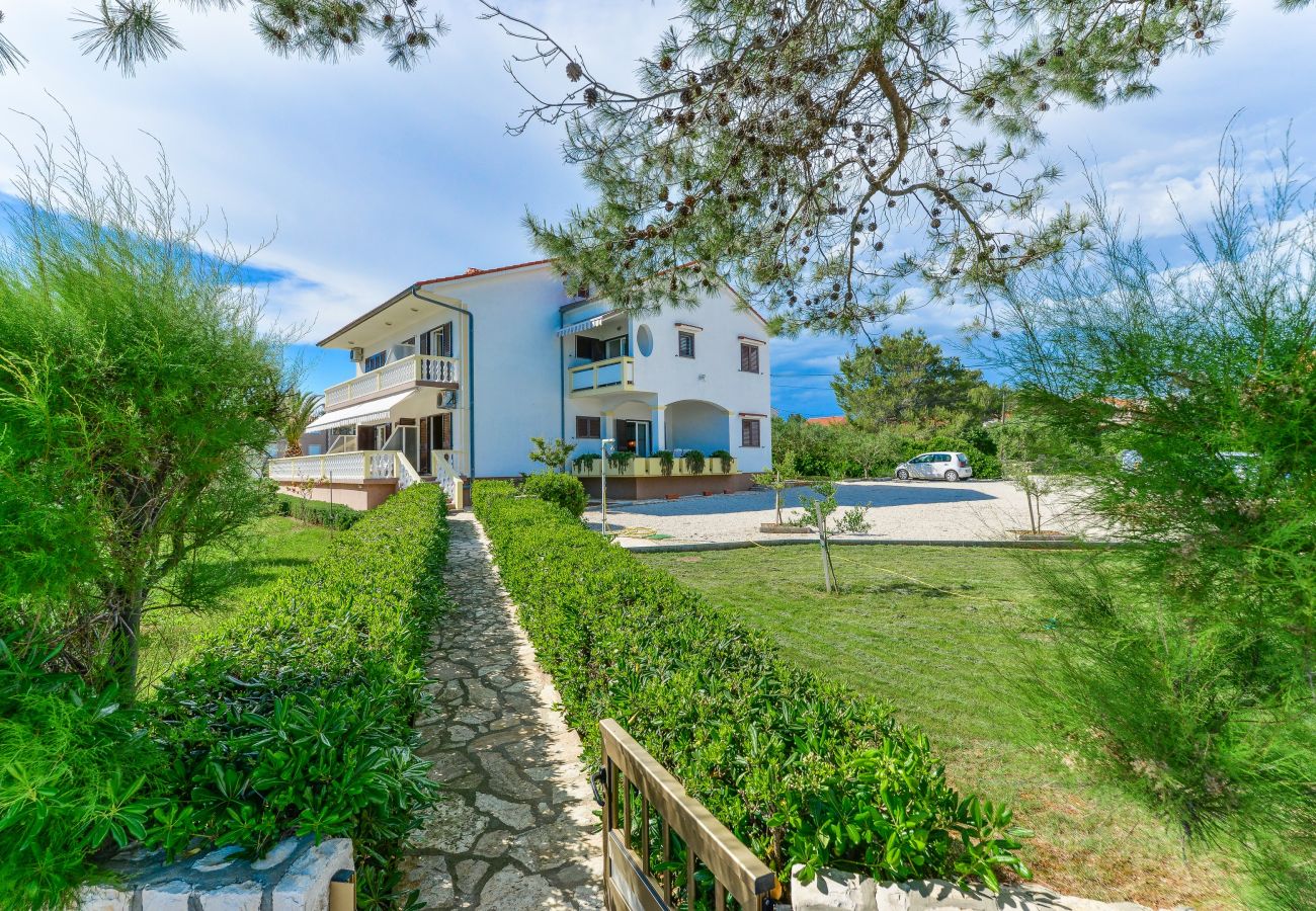 Apartment in Vir - Beachfront apartment Liverić 2