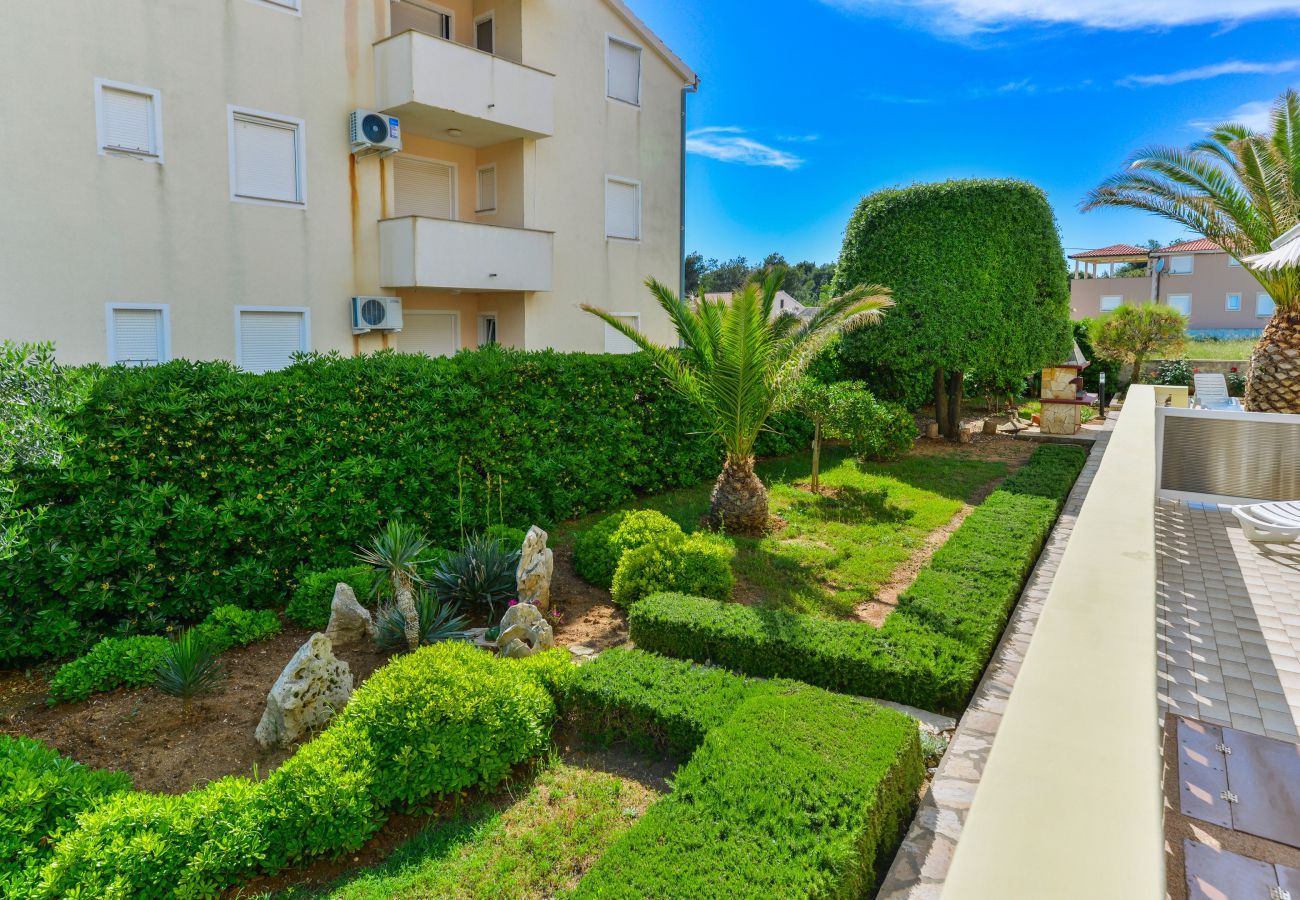 Apartment in Vir - Beachfront apartment Liverić 2
