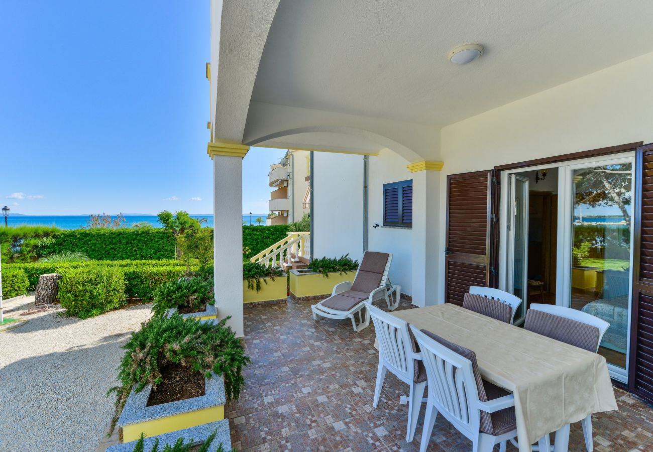 Apartment in Vir - Beachfront apartment Liverić 3