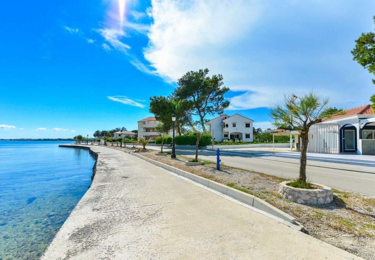 Apartment in Vir - Beachfront apartment Liverić 3
