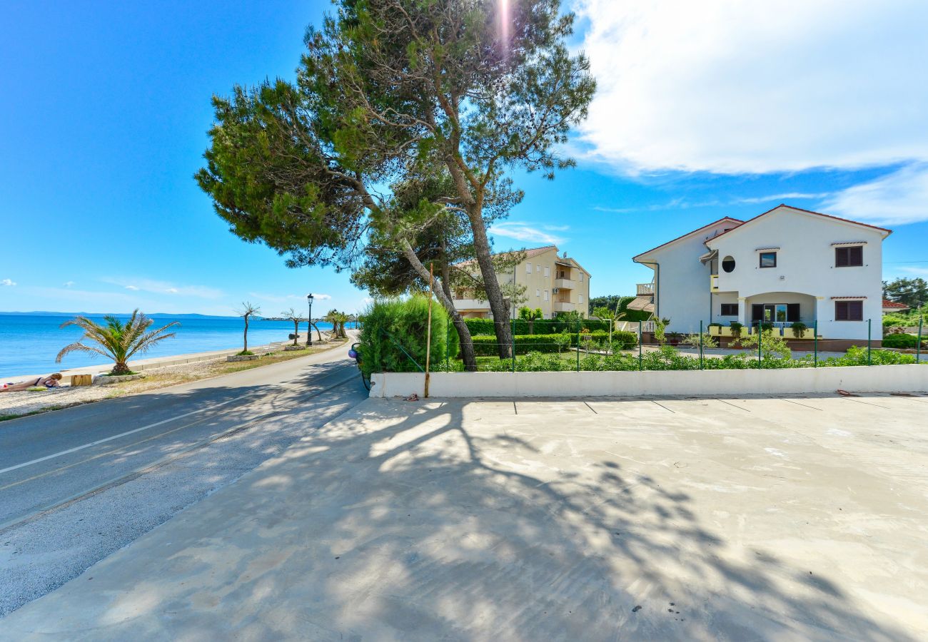 Apartment in Vir - Beachfront apartment Liverić 3