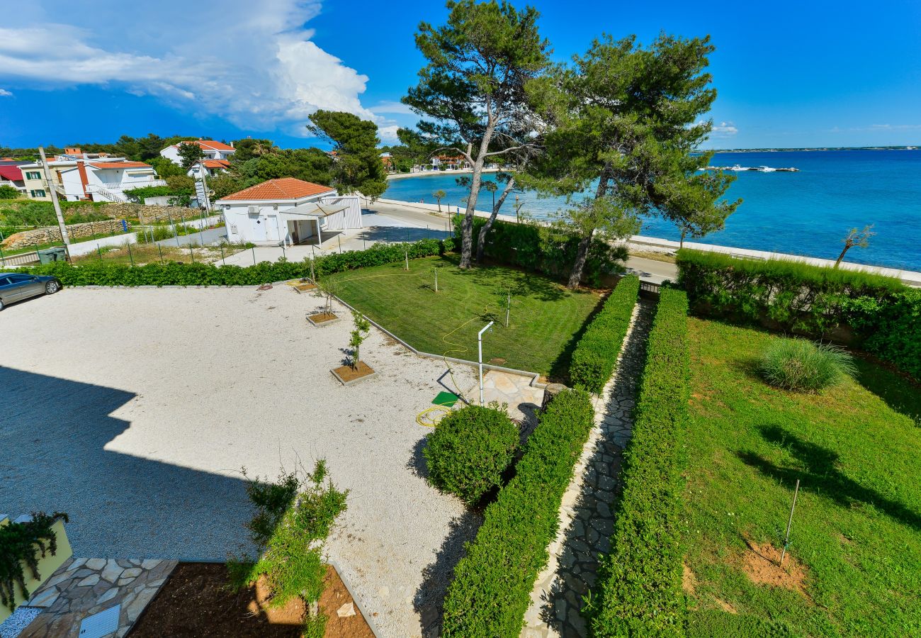 Apartment in Vir - Beachfront apartment Liverić 3