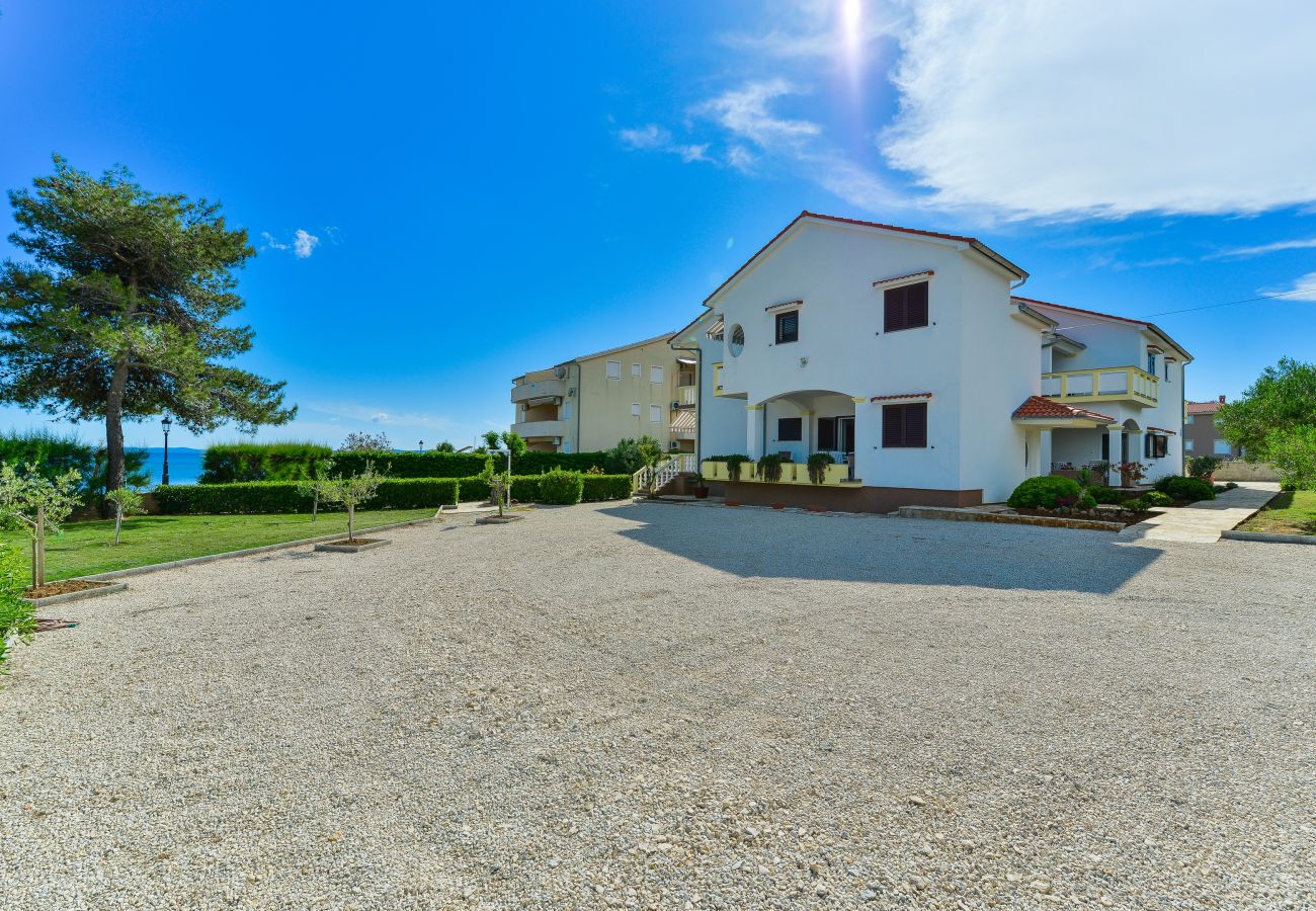 Apartment in Vir - Beachfront apartment Liverić 3