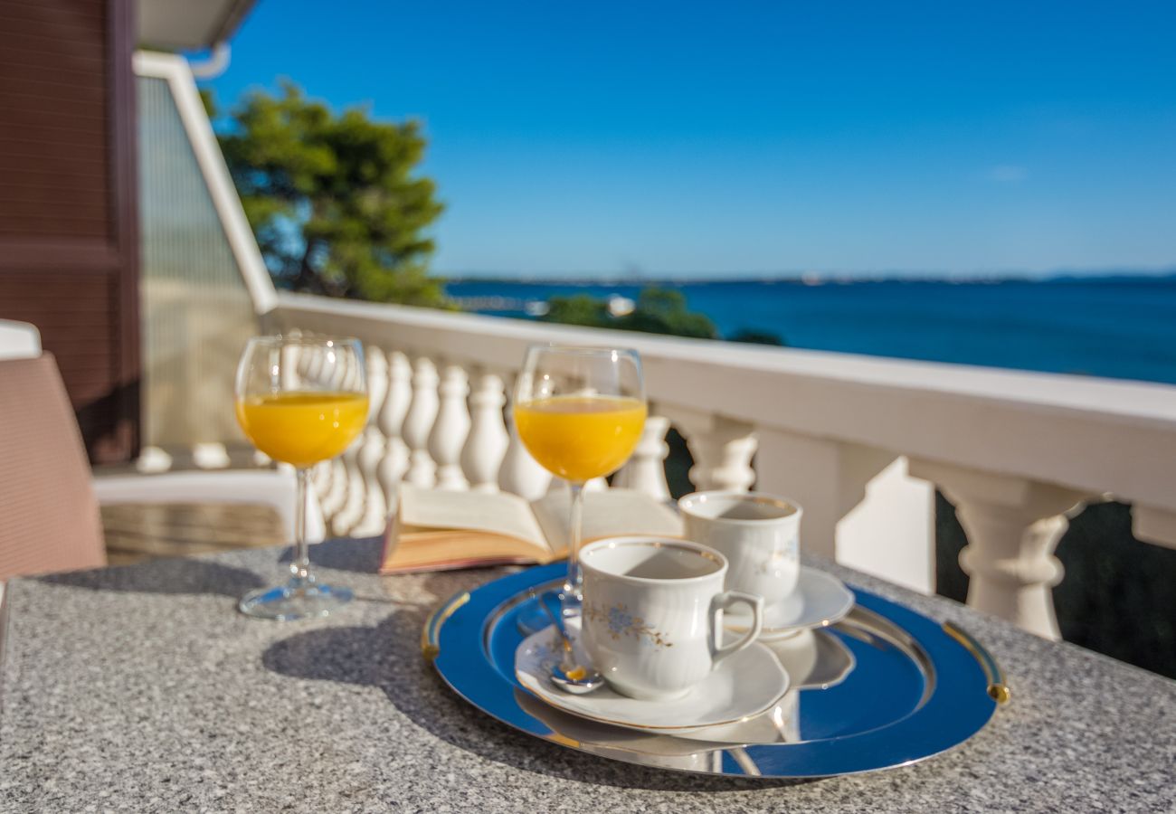 Apartment in Vir - Beachfront apartment Liverić 4