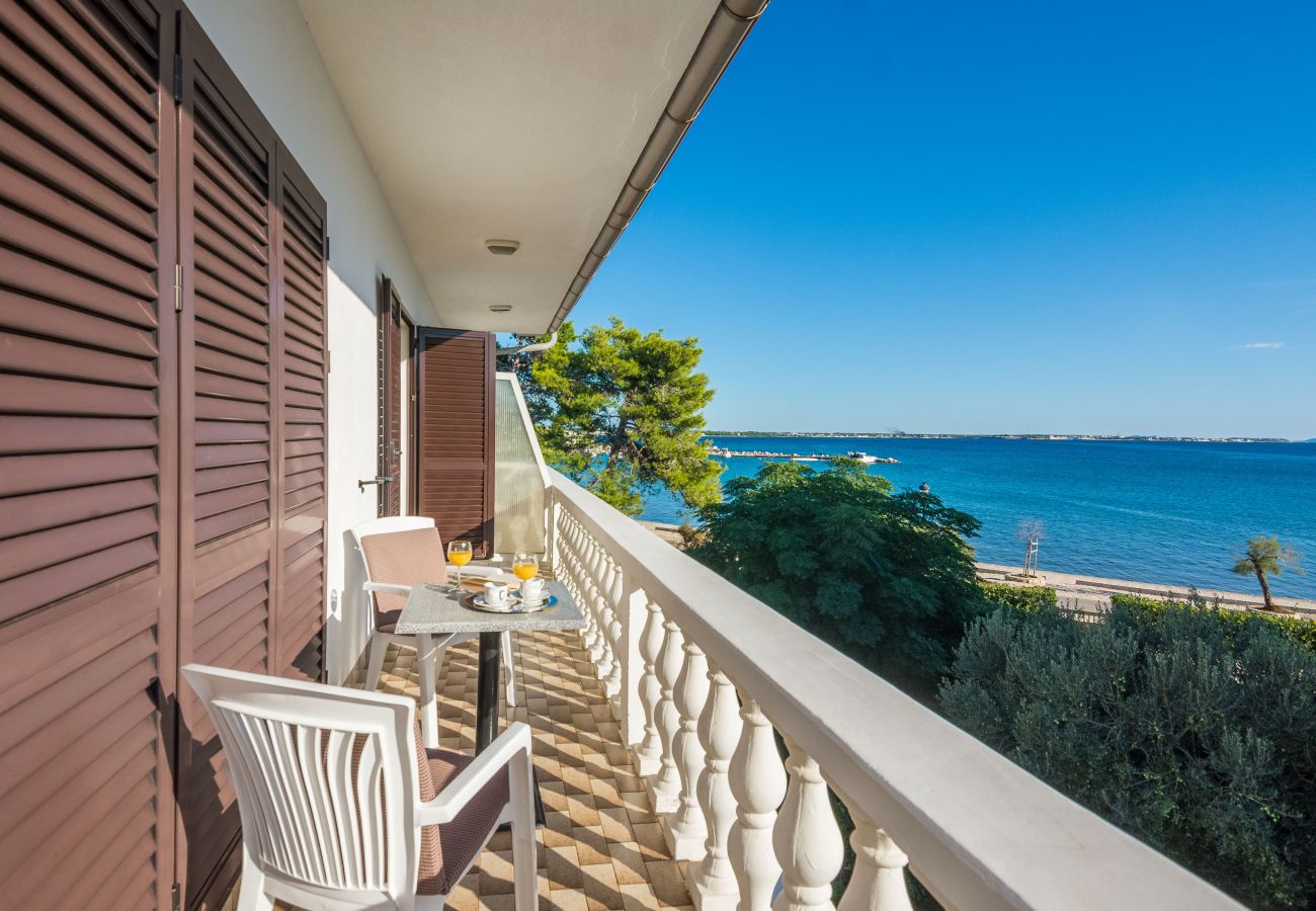 Apartment in Vir - Beachfront apartment Liverić 4